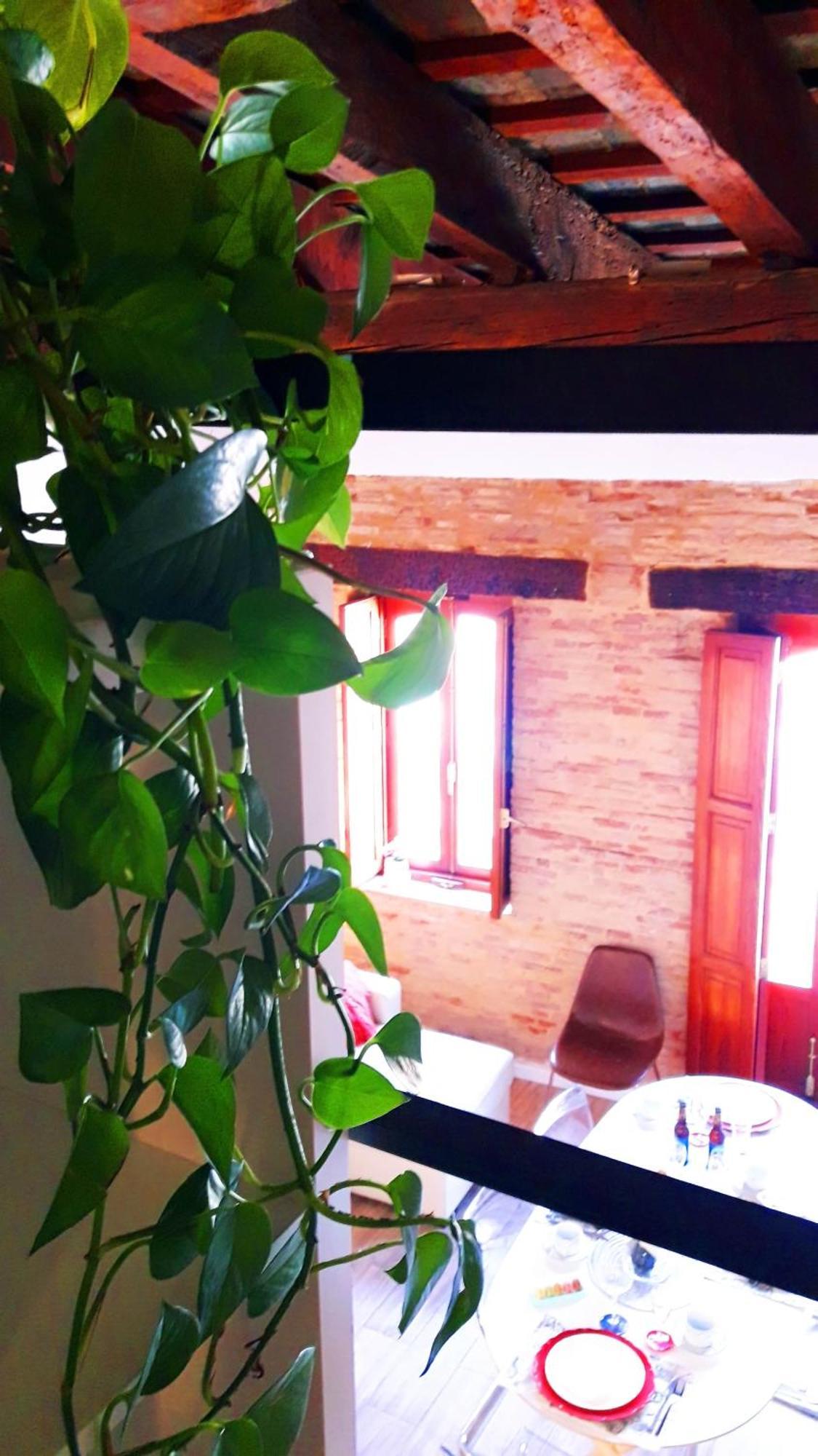 Apartamentos Centricos Barrio Del Carmen Valensiya Dış mekan fotoğraf